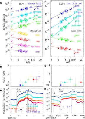 Element abundance and the physics of solar energetic particles